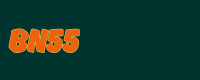 BN55 Game